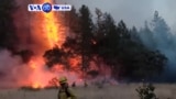 VOA60 America - Some residents in California allowed to return home as firefighters make major progress in containing wildfires