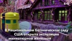 Паровозики в Ботаническом саду