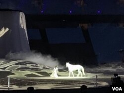 "Leila, the Land of Imagination," the grand finale of the Riyadh Season, told the story of a young girl who represented Saudi's new generation looking toward the future, in Saudi Arabia, Jan. 16, 2020. (Sabina Castelfranco/VOA)
