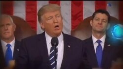 اخبار شامگاهی