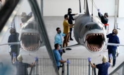 "Jaws" Installation at The Academy Museum of Motion Pictures