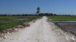 Kominote ayisyen lokal ak dyaspora reyalize plizyè pwojè tou pre vil Sen Mak