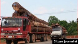 ລົດແກ່ໄມ້ອອກໄປຫາໂຮງເລື່ອຍແຫ່ງນຶ່ງໃນລາວ