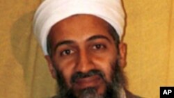 osama bin laden