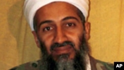 Osama bin Laden