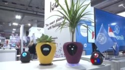 ရေလောင်းဖို့သတိပေးတဲ့ပန်းအိုး၊ တူရိယာမျိုးစုံတီးနိုင်တဲ့ Joue