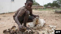 FILE: 13-year-old Prince Mpofu packs last year's harvest from the irrigated gardens for storage in Nsezi village, Matabeleland, southwestern Zimbabwe. / AFP / Ziniyange Auntony