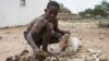 13-year-old Prince Mpofu packs last year's harvest from the irrigated gardens for storage on Feb. 7, 2015 in the village of Nsezi in Matabeleland, southwestern Zimbabwe. 