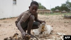 Un enfant de 13 ans dans le village de Nsezi dans le Matabeleland, au sud-ouest du Zimbabwe. ( AFP / Ziniyange Auntony)