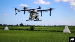 Uji coba drone yang digunakan untuk menyemprot tempat berkembang biak nyamuk pembawa malaria di sawah Cheju di wilayah Cheju selatan pulau Zanzibar, Tanzania, 31 Oktober 2019. (Foto: dok).