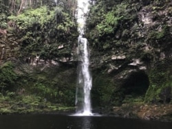 Salah satu surga tersembunyi di dalam kawasan hutan Batang Toru yakni air terjun Aek Bulu Poltak, 12 Maret 2019. (Anugrah Andriansyah)