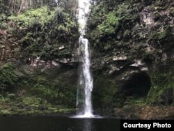 Salah satu surga tersembunyi di dalam kawasan hutan Batang Toru yakni air terjun Aek Bulu Poltak, 12 Maret 2019. (Anugrah Andriansyah)
