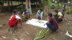 In this May 2020 photo provided by the Southern Youth Development Organization, local community members collect data and document herbal medicinal plants and vegetables in the Lenya area of the Tanintharyi region in southern Myanmar.