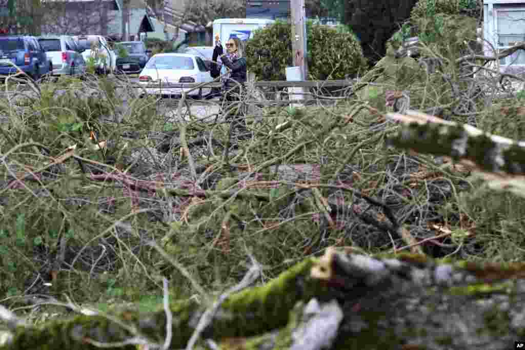 &ldquo;Ahora que estoy aquí, frente a la casa, puedo decir que fue el árbol que estaba al otro lado de la calle&rdquo;, dijo&nbsp;Tracy Meloy de Issaquah, Washington, quien pasó la noche del martes escuchando cómo el viento arrastraba escombros en el exterior de su casa.