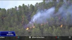 Sfidat me mbrojtjen e pyjeve nga zjarret