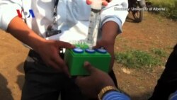 A Quick And Easy Way to Detect E. Coli