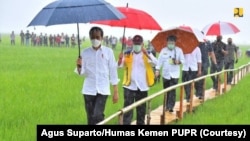 Presiden Joko Widodo didampingi Menteri PUPR Basuki Hadimuljono, Menteri Pertanian Yasin Limpo, dan sejumlah pejabat meninjau areal persawahan yang menjadi kawasan lumbung pangan di Kabupaten Sumba Tengah. 