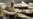Zimbabwe Lobbies Neighbors on Ivory Trade, Will Not Burn Stocks