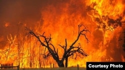 About 1,379 740 hectares have already been lost this year due to veld fires. (Photo/Road Safety website)
