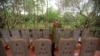 Triều Tiên dời hài cốt 14 phi công chết tại VN đến Nghĩa trang Liệt sĩ Quốc gia  
