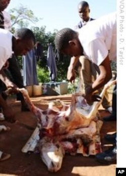A sheep is slaughtered at Kwanyuswa Village, in South Africa's KwaZulu-Natal province, in honor of bride-to-be, Cynthia Mkhize