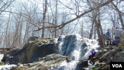 This is one of the cascading waterfalls that can be found in the Shenandoah Valley.