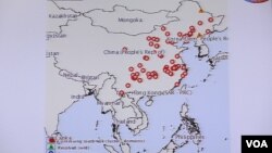 台灣立法院內政委員會有關非洲豬瘟在中國的質詢圖表（美國之音張永泰拍攝）