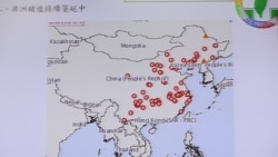 非洲猪瘟在中国蔓延，台湾方面严阵以待
