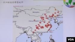 台湾立法院内政委员会有关非洲猪瘟在中国的质询图表 （美国之音张永泰拍摄）