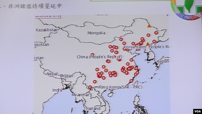 台湾立法院内政委员会有关非洲猪瘟在中国的质询图表 (美国之音张永泰拍摄)