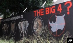 FILE - Mural calls for halt to rhino poaching in bid to save species from extinction, Johannesburg, South Africa, Sept. 18, 2013.