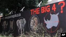Mural calls for halt to rhino poaching in bid to save species from extinction, Johannesburg, South Africa, Sept. 18, 2013.