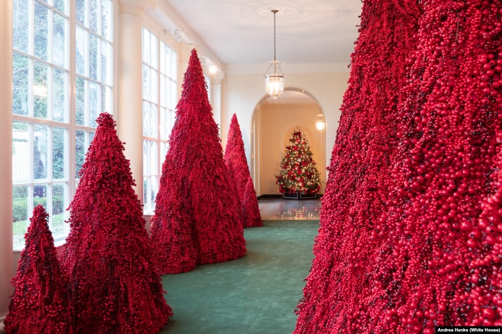 미국 백악관의 이스트 콜로네이드가 크리스마스 트리로 장식돼 있다.