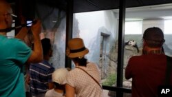 FILE - Smithsonian National Zoo visitors take pictures of giant panda Mei Xiang as she sleeps in the indoor habitat at the zoo in Washington, Aug. 12, 2015.