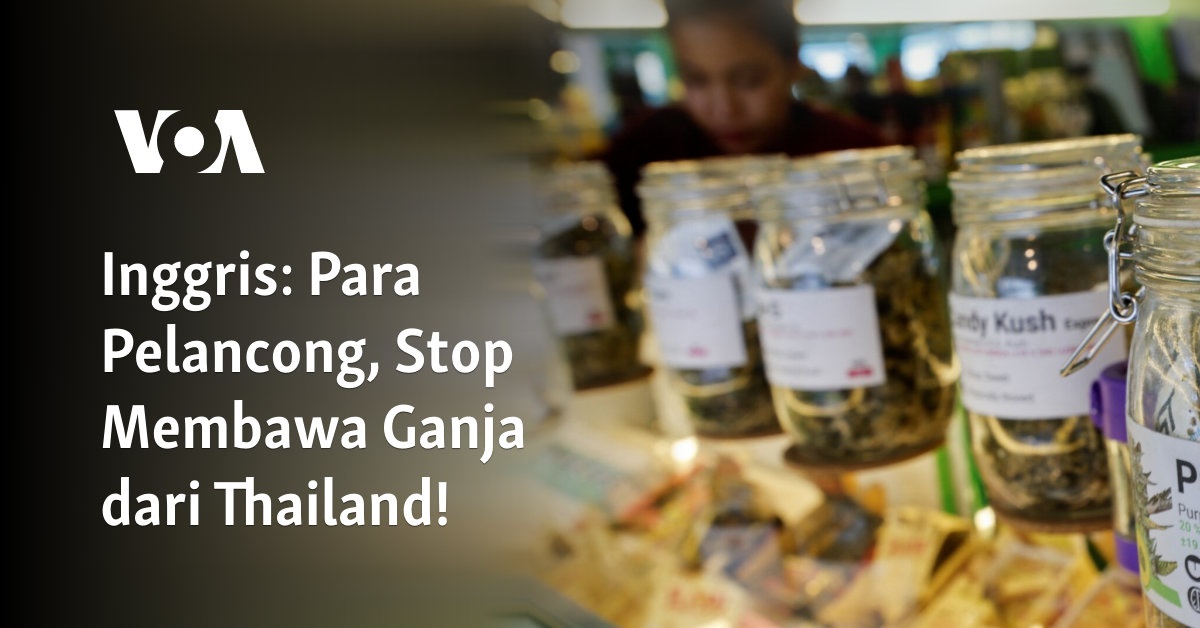 Para Pelancong, Stop Membawa Ganja dari Thailand!