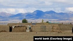 Afghanistan, New Grant to Improve Food Security, Lessen Drought and COVID-19 Impacts for Rural Afghans 17 Feb 2021