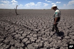 FILE - Texas State Park police officer Thomas Bigham walks across the cracked lake bed of O.C. Fisher Lake, in San Angelo, Texas, Aug 3, 2011.