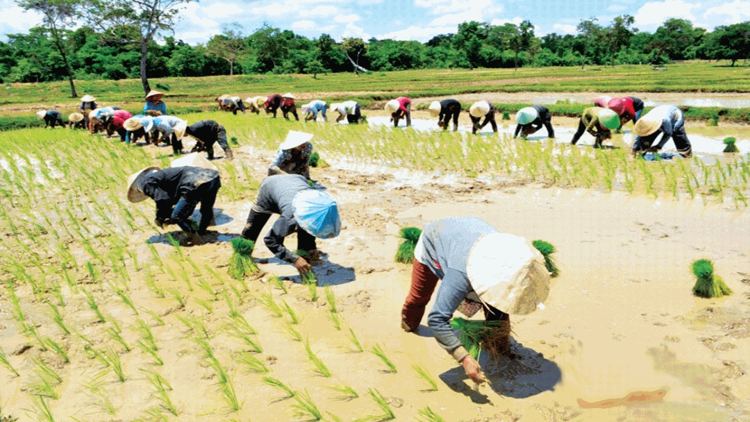 ລັດຖະບານລາວ ວາງແຜນຊຸກຍູ້ ການຜະລິດ ...