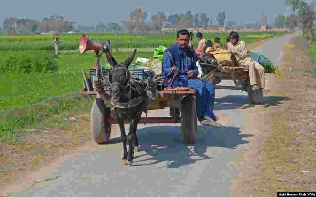 دیہاتوں میں مختلف چیزوں کی منتقلی کے لیے گدھا گاڑی کا استعمال کیا جاتا ہے۔