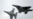 Aviones de diferentes nacionalidades protegen el espacio aéreo de la OTAN