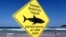 Swimmers walk into the surf next to a sign declaring a shark sighting on Sydney's Manly Beach, Australia, Nov. 24, 2015. 