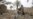 Militer Pakistan Evakuasi Korban Gempa