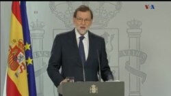 اخبار شامگاهی