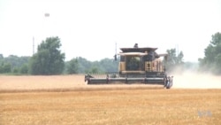 US Wheat Production Lowest in Recorded History