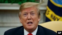 FILE - President Donald Trump speaks during a meeting with Czech Prime Minister Andrej Babis in the Oval Office of the White House, March 7, 2019.