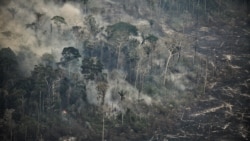 Foto dari udara yang menunjukkan wilayah hutan di Ucayali, Peru, yang terbakar pada 17 September 2024. (Foto: AFP/Hugo La Rosa)