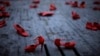 Chaussures exposées dans le cadre d'une manifestation contre la violence sexiste sur la place Sant Jaume à Barcelone, en Espagne, le 21 novembre 2016. (Photo AP/Manu Fernandez)