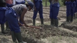 Le Gabon vise l’autosuffisance alimentaire à l’horizon 2025