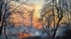 В Чернобыльской зоне отчуждения горит лес 