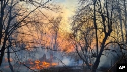 A view of a forest fire burning near the village of Volodymyrivka in the exclusion zone around the Chernobyl nuclear power plant, Ukraine, Sunday, April 5, 2020.